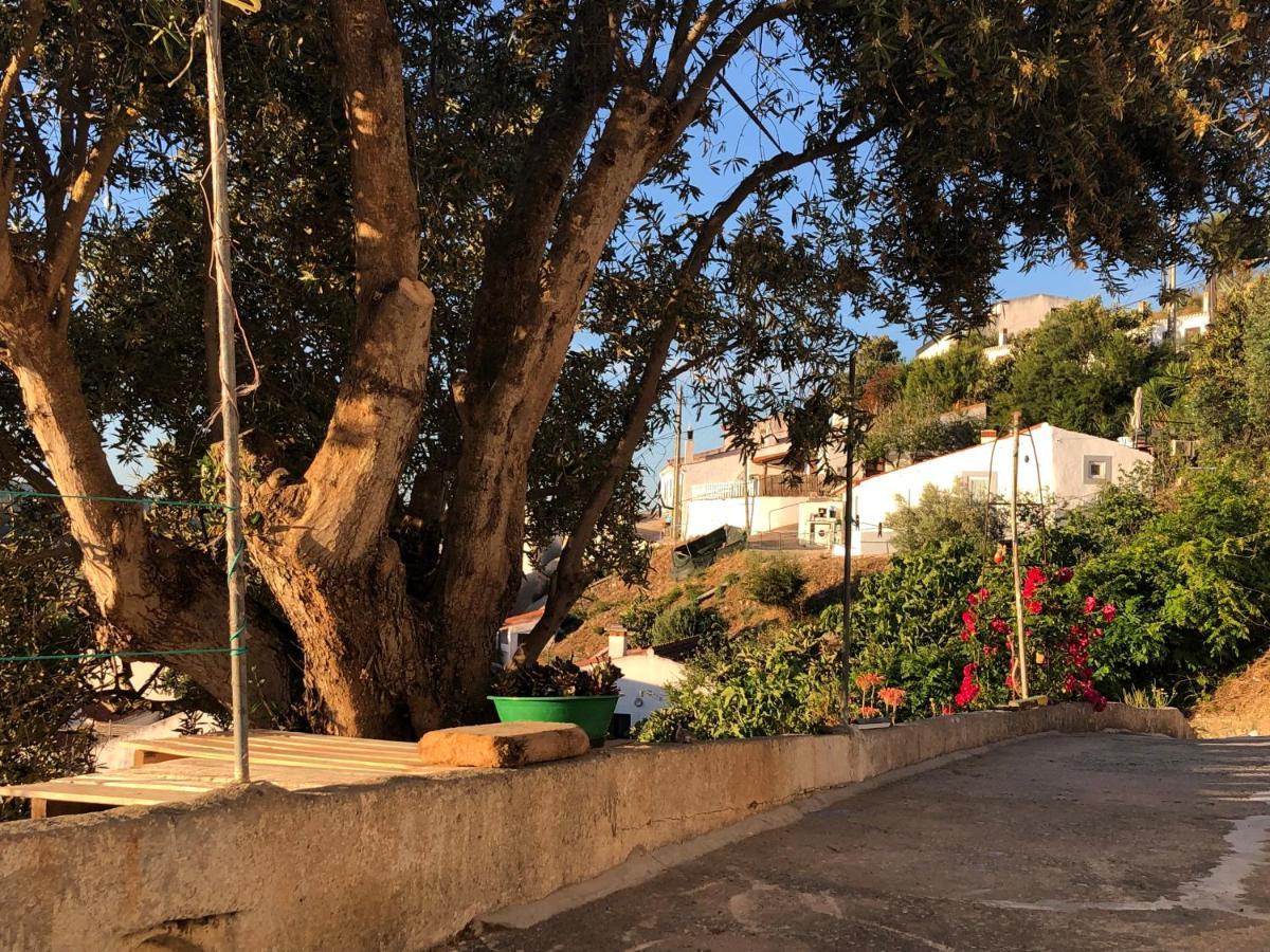 アルジェズール Casa Anneli - Relaxing Under The Olive Treeヴィラ エクステリア 写真
