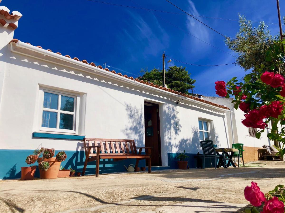 アルジェズール Casa Anneli - Relaxing Under The Olive Treeヴィラ エクステリア 写真