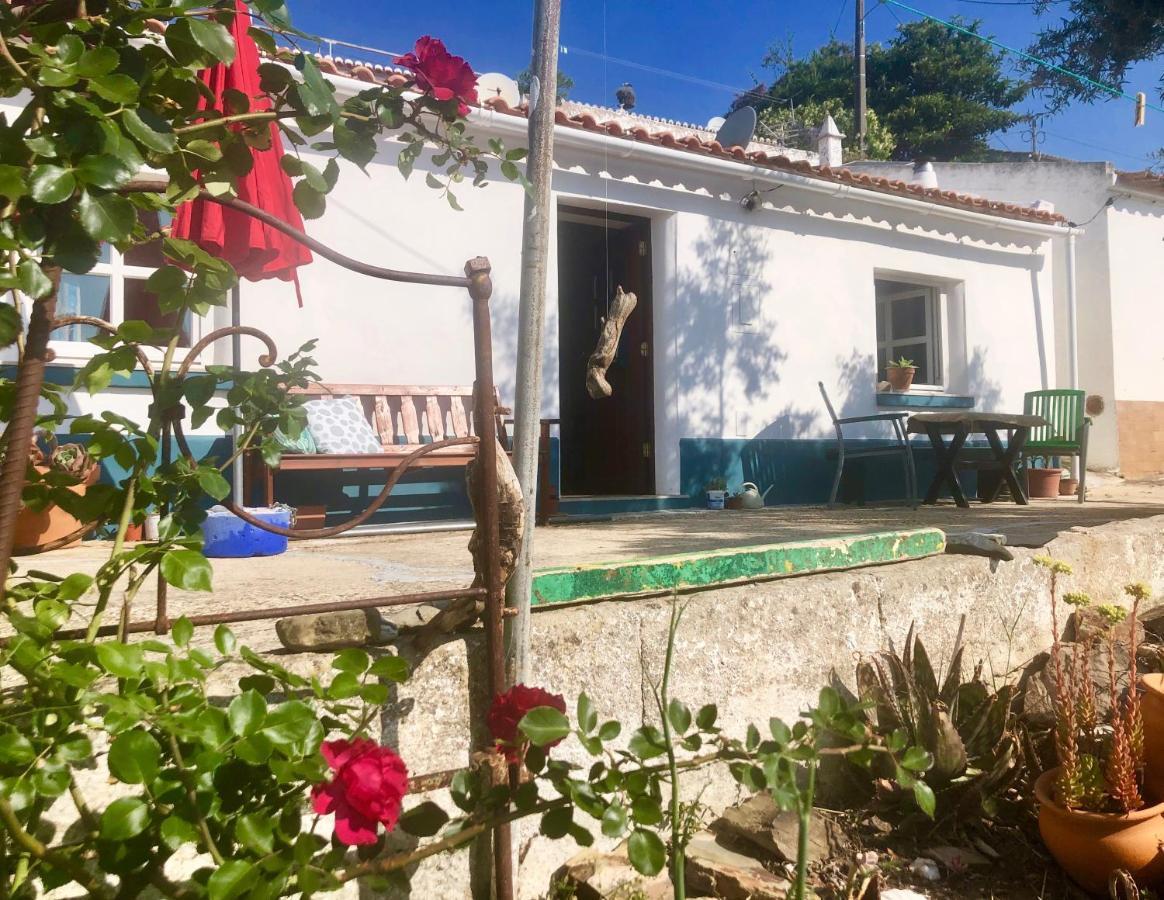 アルジェズール Casa Anneli - Relaxing Under The Olive Treeヴィラ エクステリア 写真